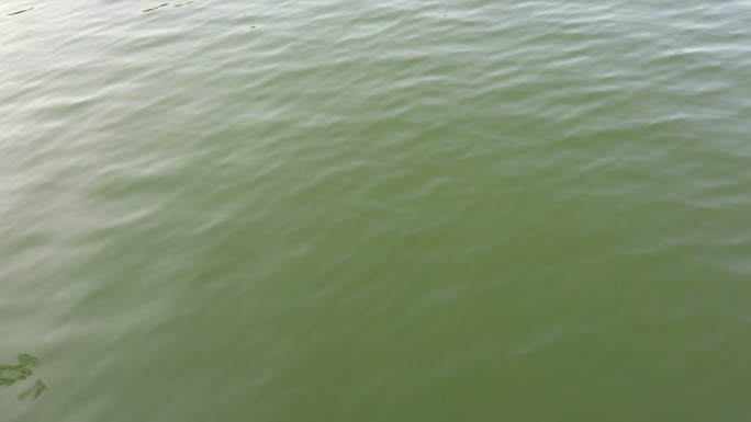 碧绿的湖面水波纹背景