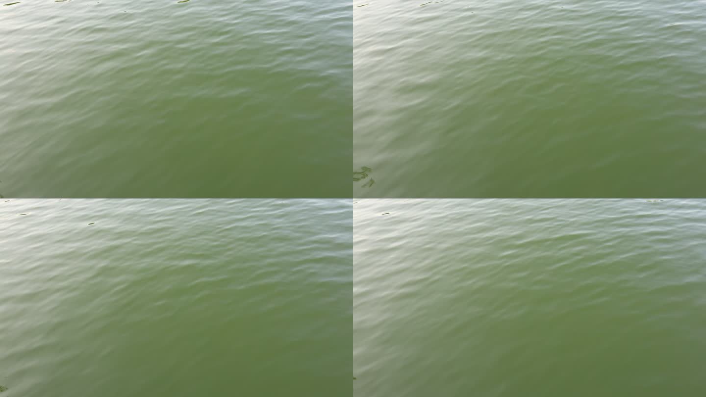 碧绿的湖面水波纹背景