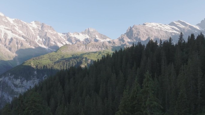 无人机拍摄的远处森林和雪山