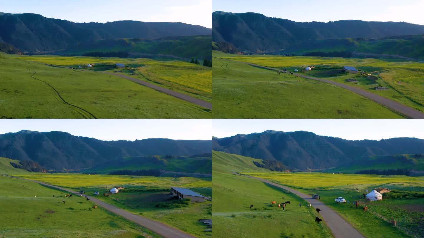 新疆伊犁喀拉峻草原 风光