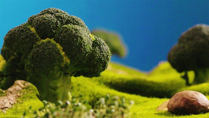 豆芽蘑菇西兰花树创意景观
