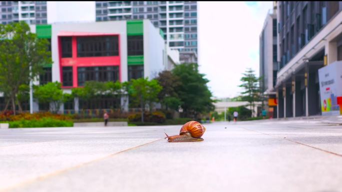 上班的蜗牛