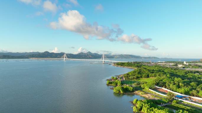 4K原创深圳湾红树林深圳湾大桥航拍视频