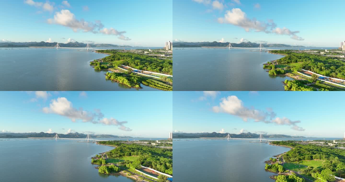 4K原创深圳湾红树林深圳湾大桥航拍视频