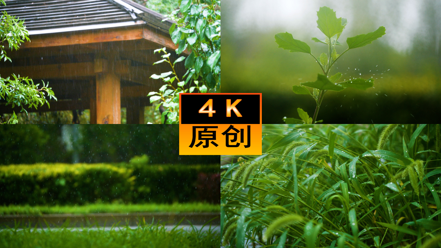 下雨天空镜雨滴滴水中式