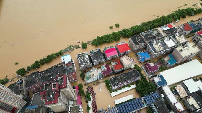 南安市洪濑镇内涝 洪涝洪水灾害 积水