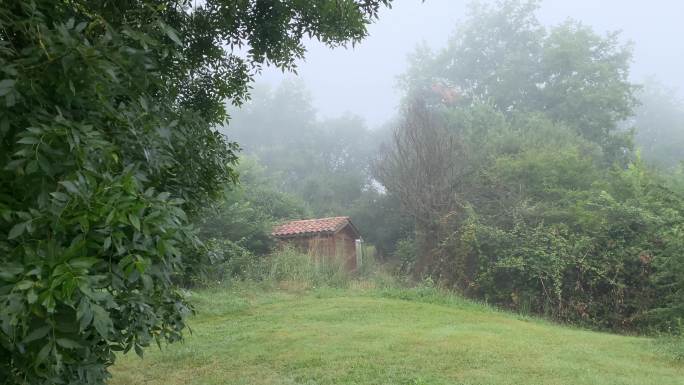 浓雾里的山间小木屋