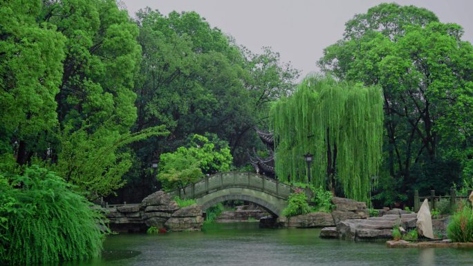 雨天公园唯美实拍