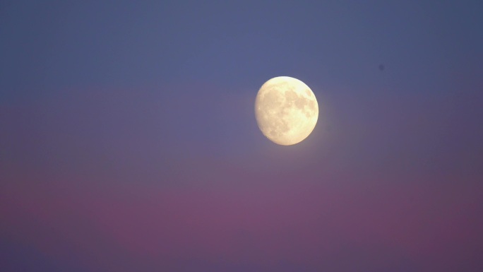 4k夕阳粉色月亮月色