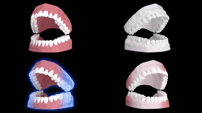 全息线框口腔牙齿模型扫描
