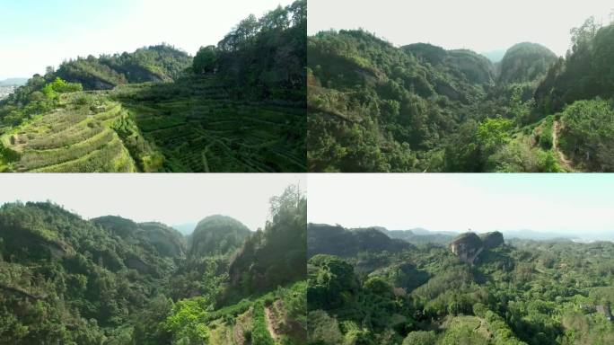 武夷山 景区 航拍 合集 4K