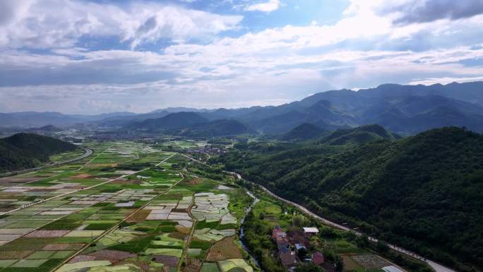 乡村绿色稻田航拍选编