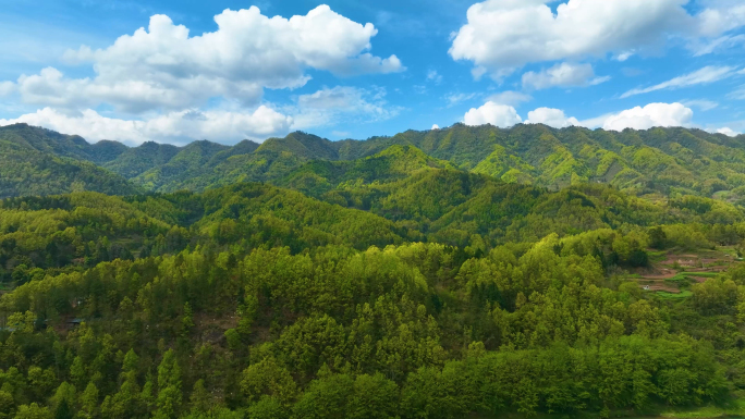 四川宣汉县郎家寨山区