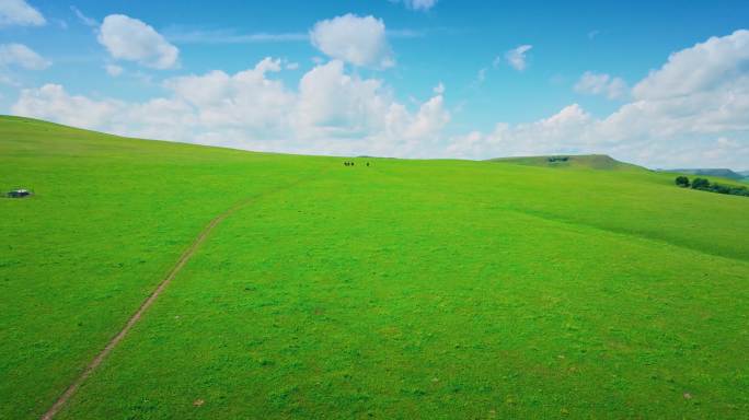 5K美丽的草原我的家 内蒙古大草原