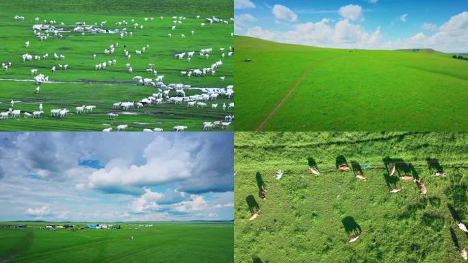 5K美丽的草原我的家 内蒙古大草原