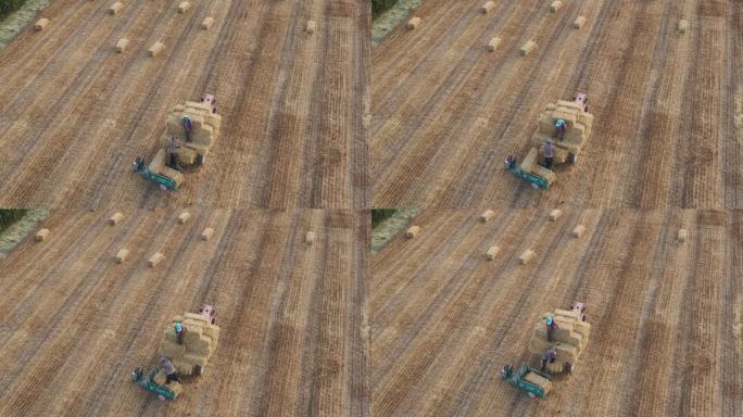 航拍农民在乡间田里回收麦杆