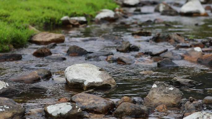 4K小河流水 水花 苔藓 草坪 素材