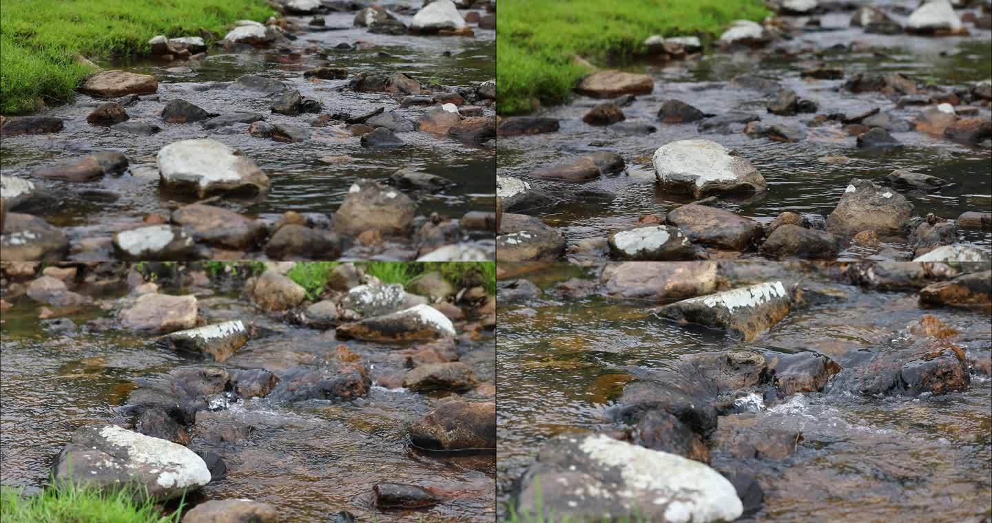 4K小河流水 水花 苔藓 草坪 素材