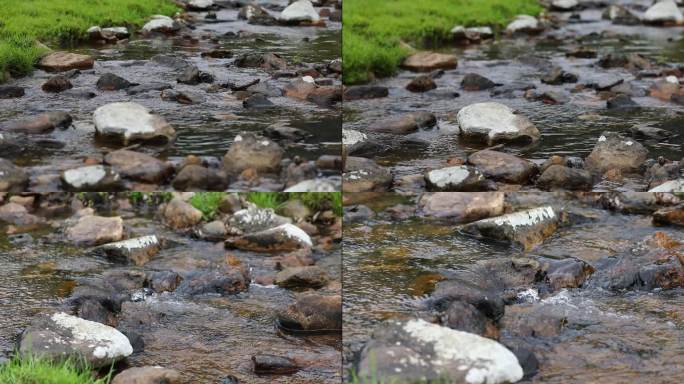 4K小河流水 水花 苔藓 草坪 素材