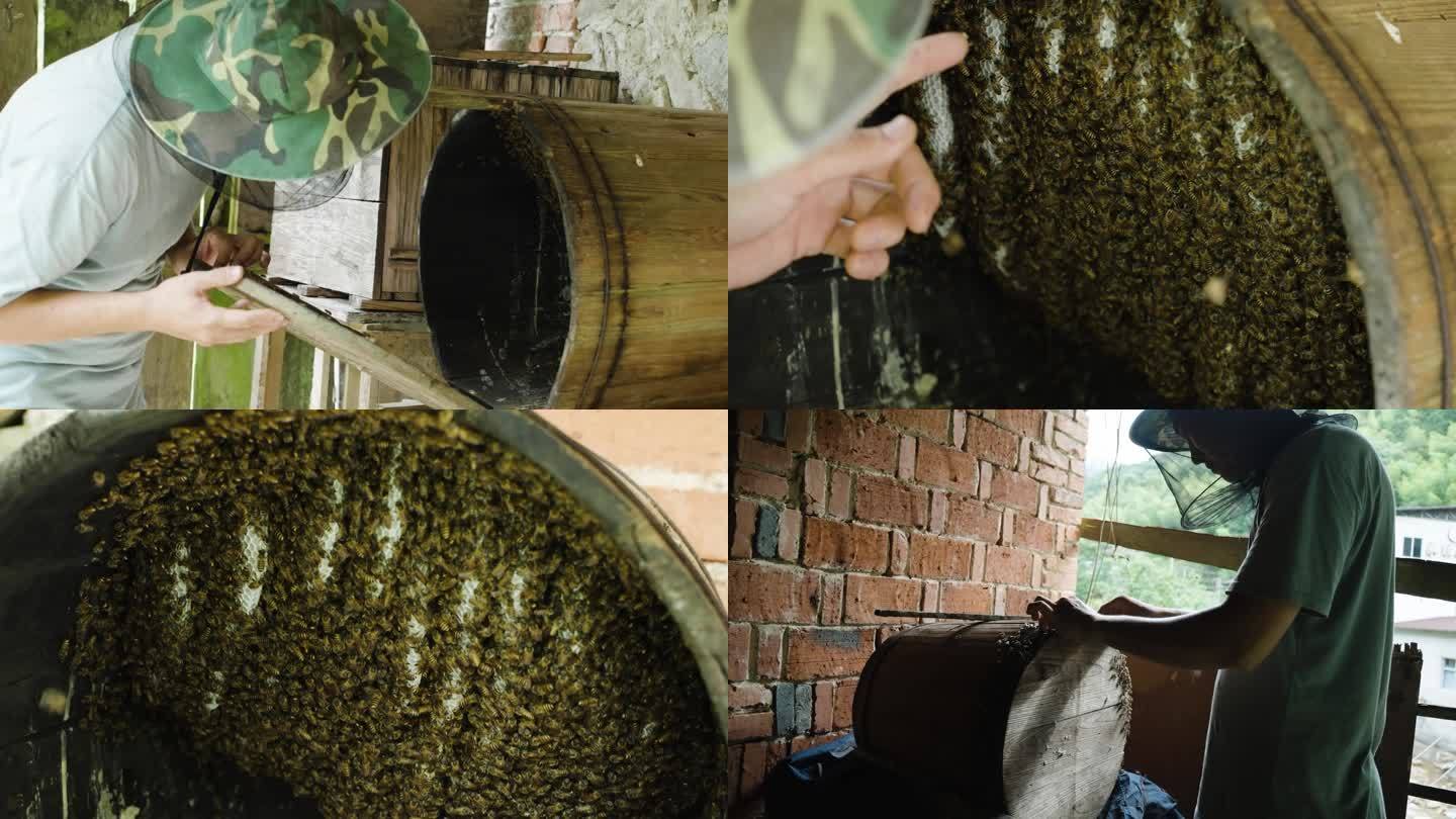 蜂场养蜂人的蜂巢割蜂蜜03