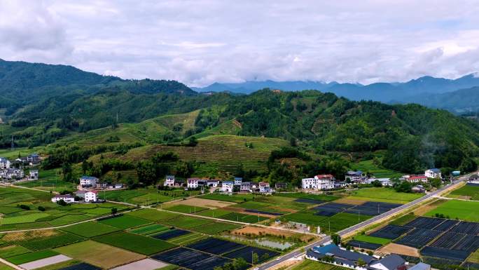 （延时）福建武夷山绿色农田与茶田