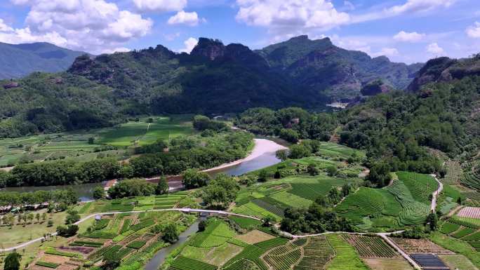 【合集】福建武夷山茶园茶山