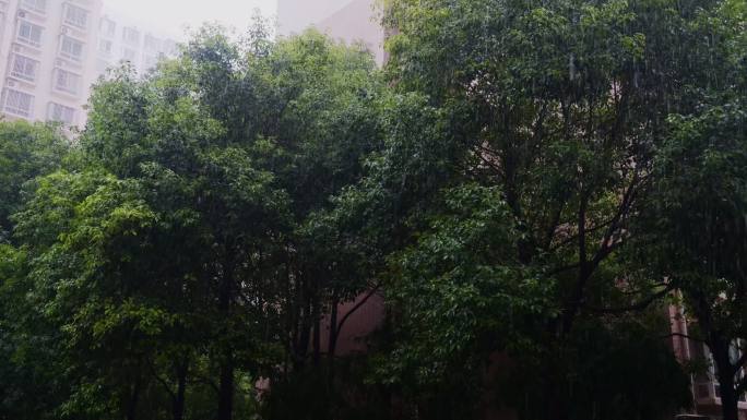 小区下雨