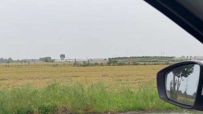 古镇路上车内雨天-麦田