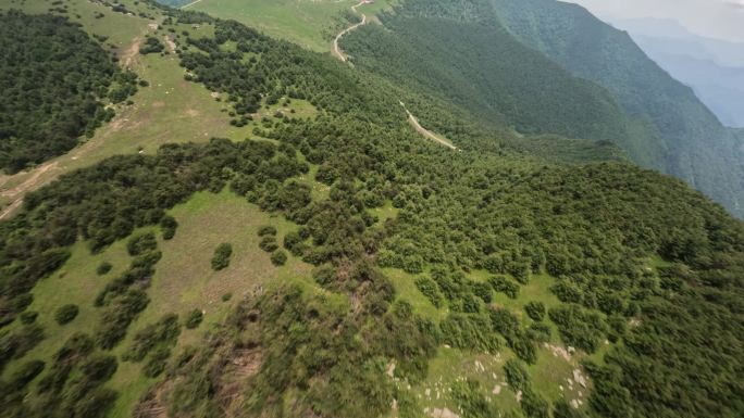 fpv拍摄俯冲飞越山林