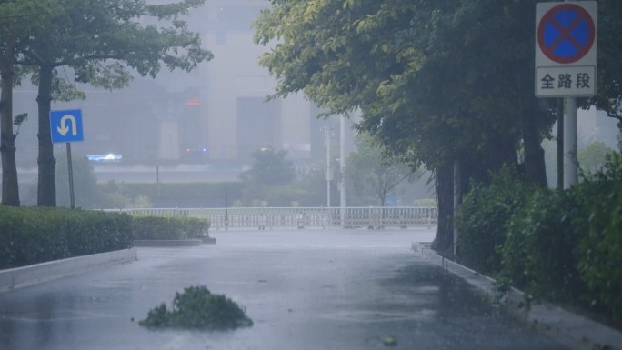 台风登陆小区园林狂风暴雨