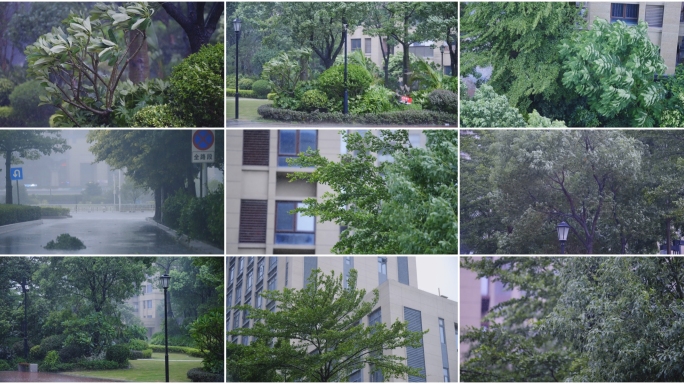 台风登陆小区园林狂风暴雨