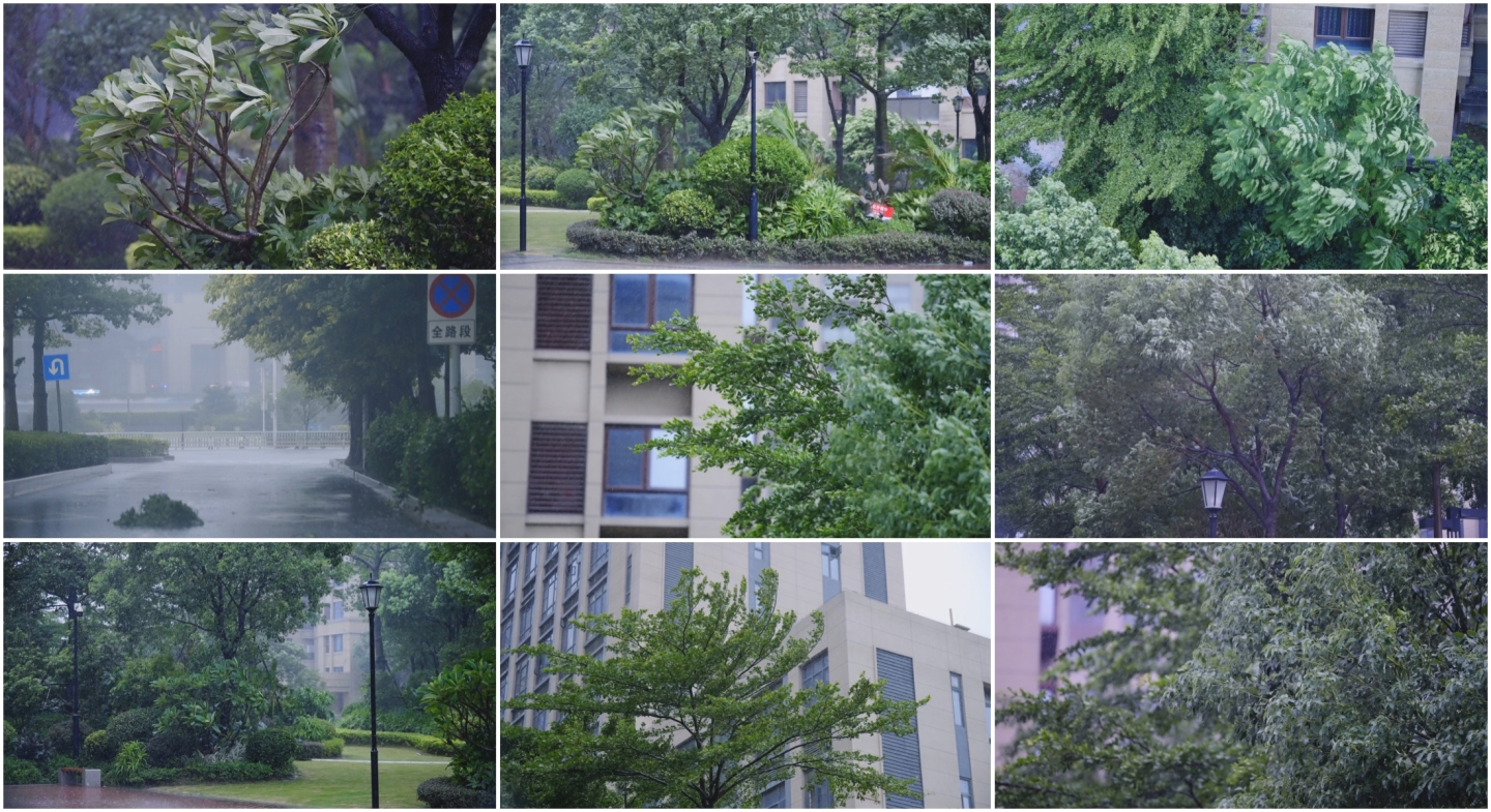 台风登陆小区园林狂风暴雨