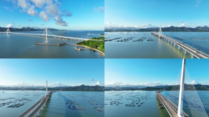 4K原创深圳湾大桥深圳湾红树林航拍视频