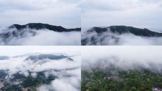 浙江曹村城市风光