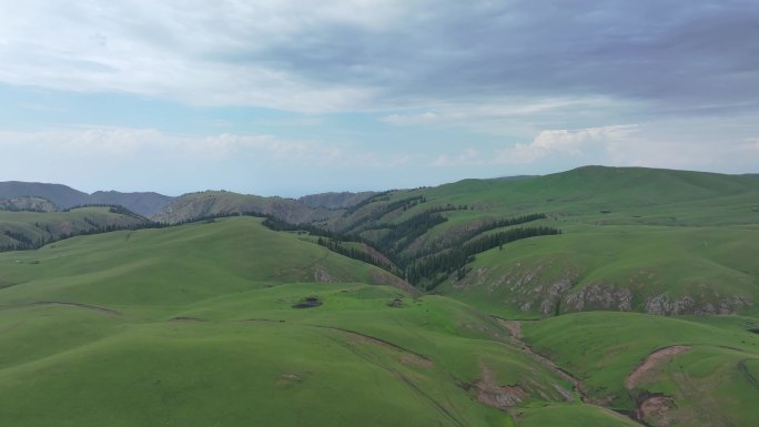新疆河谷草原风景