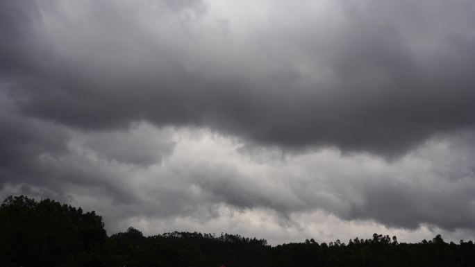 阴天森林乌云飘过树林阴雨天森林大景松树林