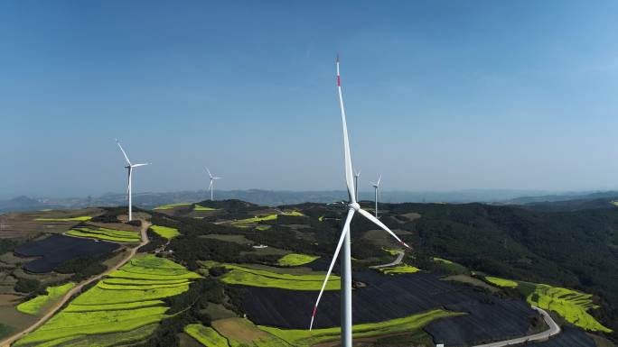 罗平县油菜花地新能源风机