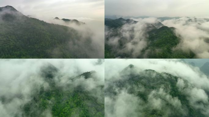航拍大山森林山林丛林云雾