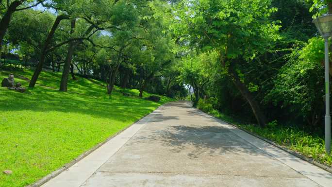 公园草坪草地 校园小路 林荫大道