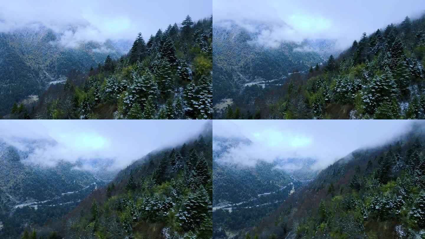 雪山 河流 森林 公路 西藏 318