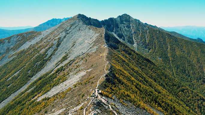 秋天 秦岭 公路 森林 航拍 云海