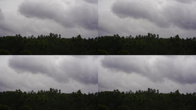 阴天森林乌云飘过树林阴雨天森林大景松树林