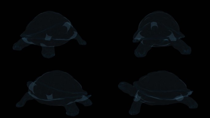 乌龟海龟 摆件可爱爬行动物卡通漫画憋甲鱼