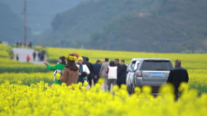 油菜花海游客游玩