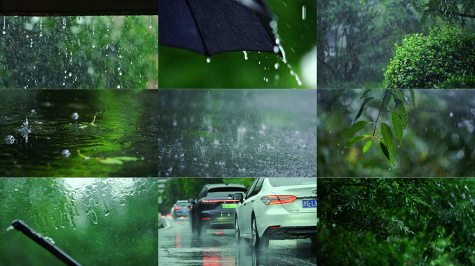 下雨大雨暴雨清新空镜雨景树叶雨滴