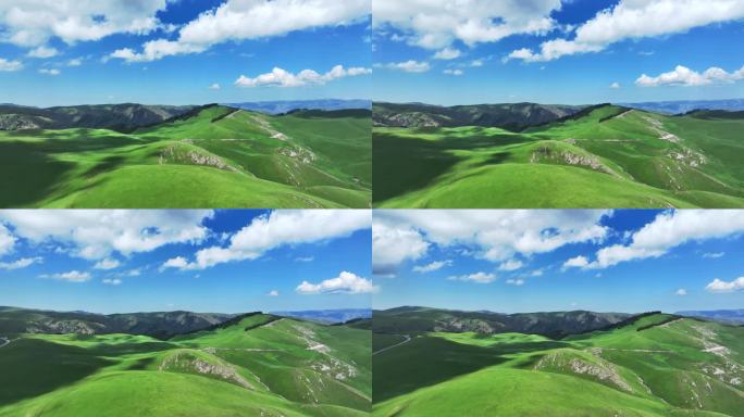 蓝天白云下的新疆伊犁草原风光