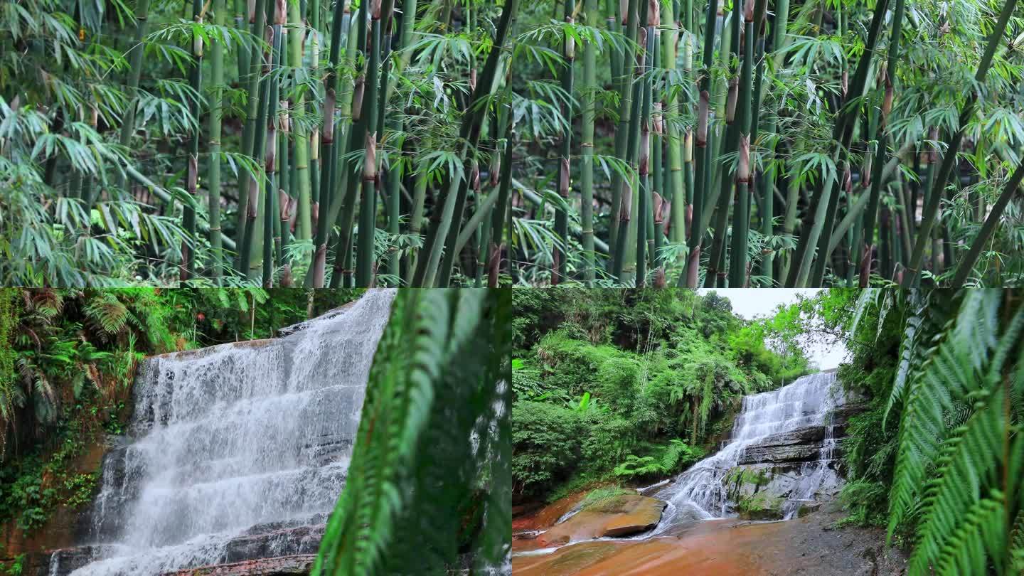 竹林 河流 瀑布