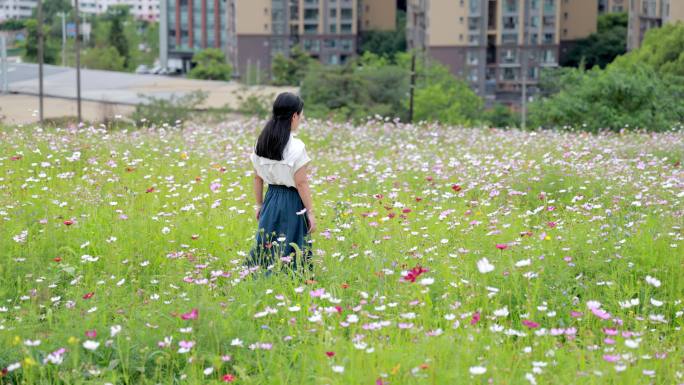 女孩在花海中行走