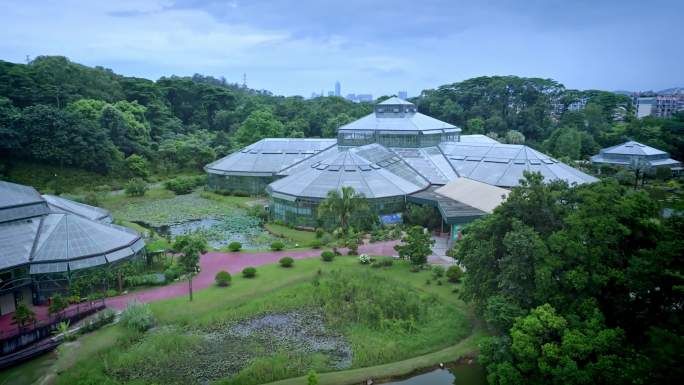 航拍广州中国科学院华南植物园热带温室