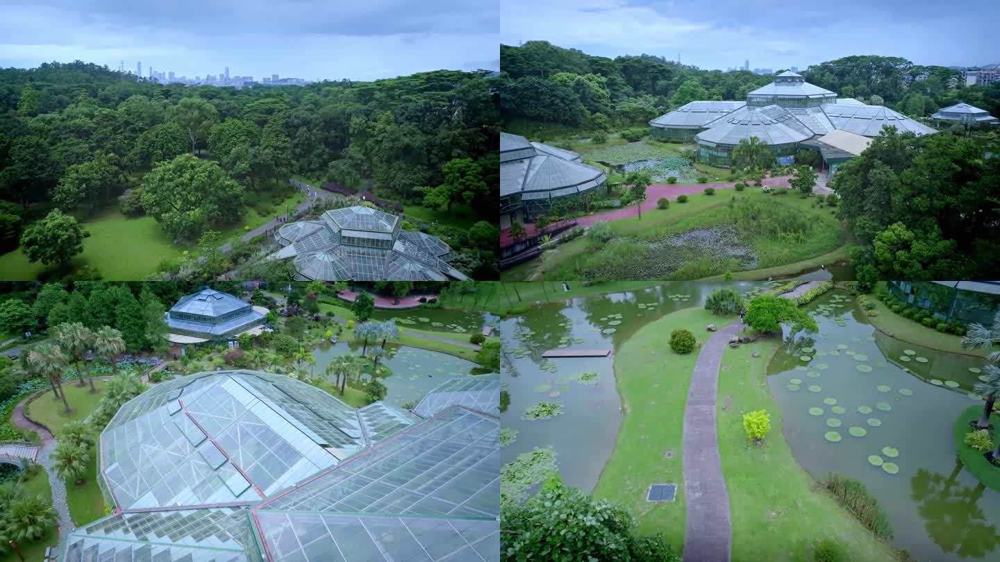 航拍广州中国科学院华南植物园热带温室